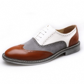 Män Brogue Colorblock Oxfords Snörning Business Casual Formell Skor